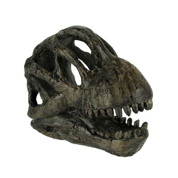 Brachiosaurus Dinosaur Head Fossil Statue Small - Picture 1 of 4